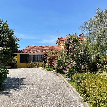 Home Sweet Home Gallicano nel Lazio Dış mekan fotoğraf