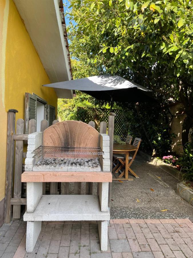 Home Sweet Home Gallicano nel Lazio Dış mekan fotoğraf